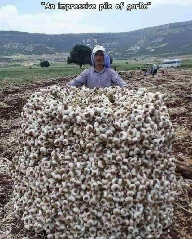 Interesting Pictures with Captions #183 (20 photos)