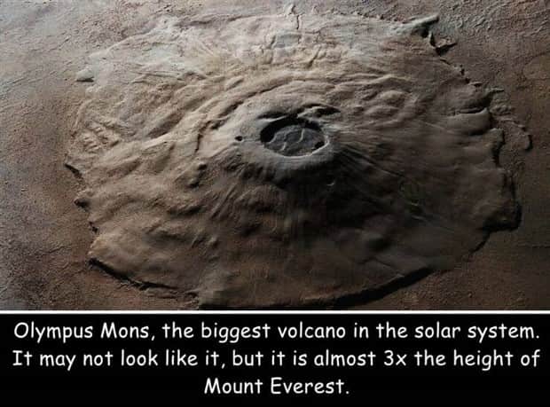 Interesting Pictures with Captions #182 (19 photos)