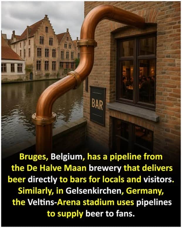 random facts 11 1 Cool and Interesting Facts #455 (25 photos)