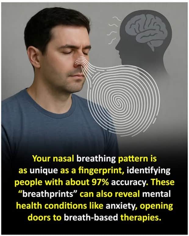 random facts 11 Cool and Interesting Facts #454 (22 photos)