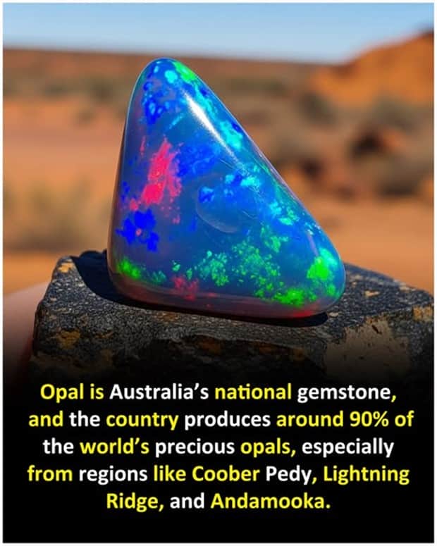 random facts 12 1 Cool and Interesting Facts #455 (25 photos)