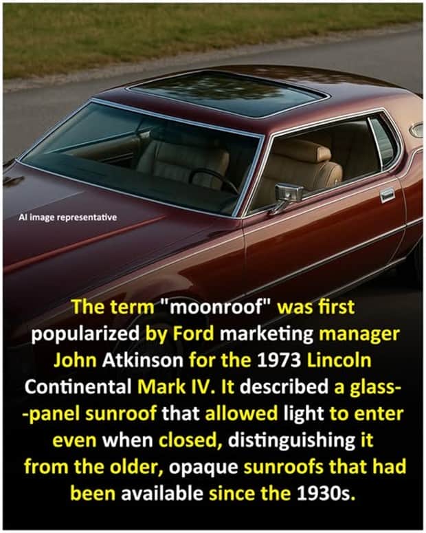 random facts 13 1 Cool and Interesting Facts #455 (25 photos)