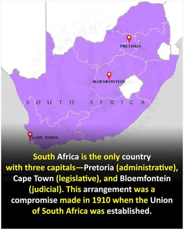 Cool and Interesting Facts #456 (20 photos)