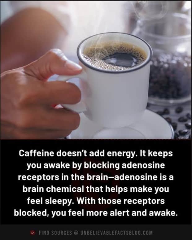 random facts 13 Cool and Interesting Facts #454 (22 photos)