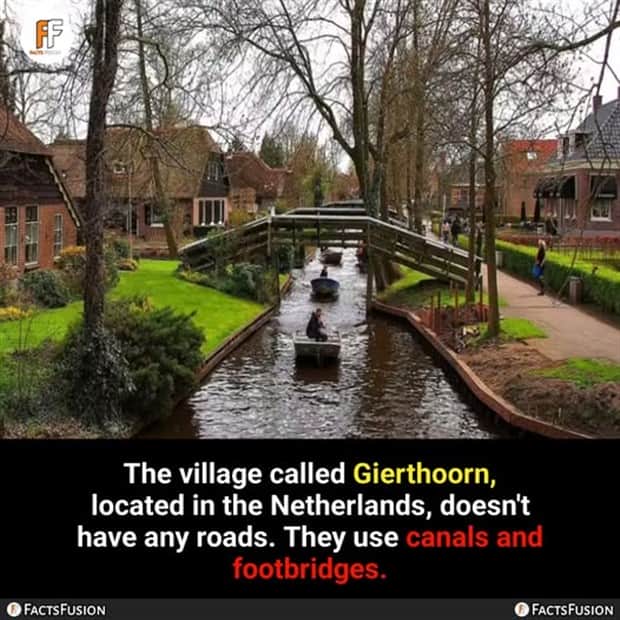 Cool and Interesting Facts #456 (20 photos)