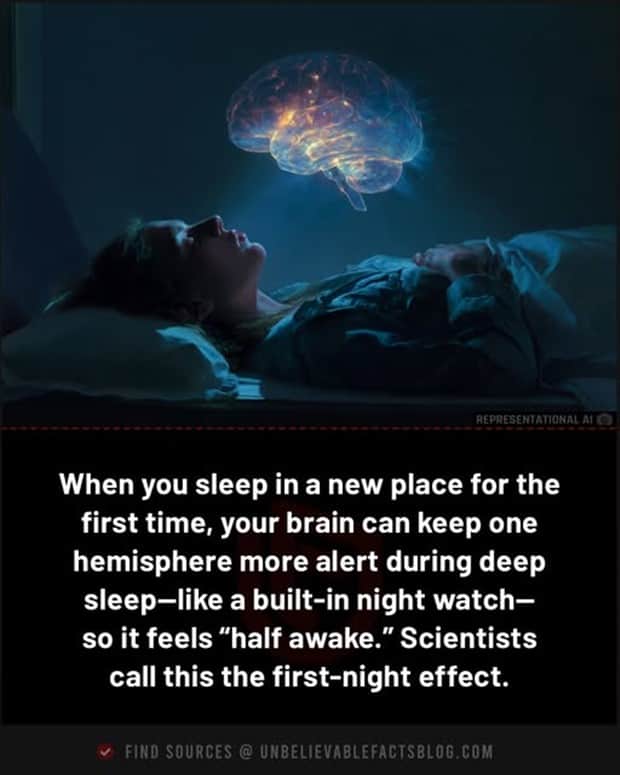 random facts 15 1 Cool and Interesting Facts #455 (25 photos)