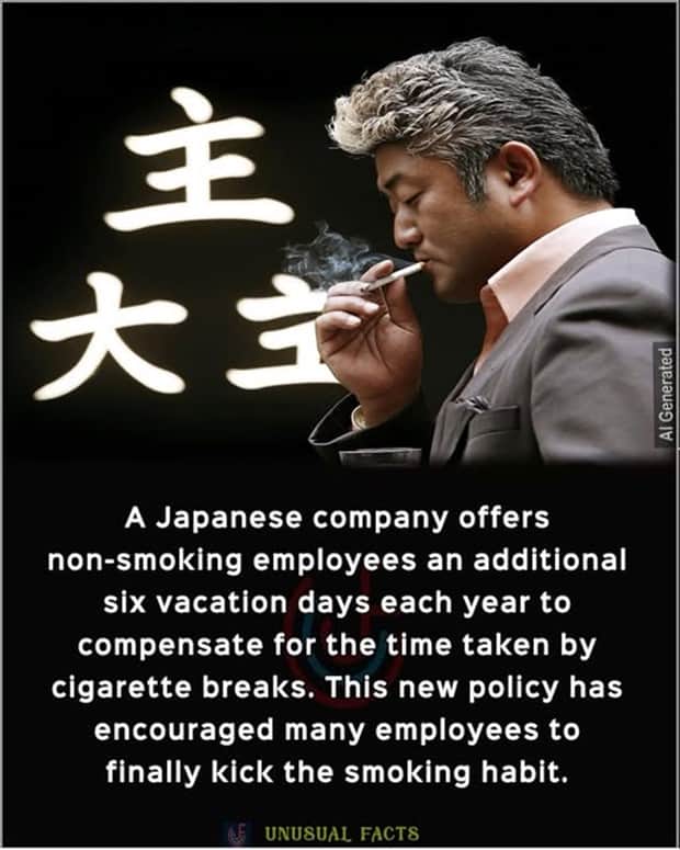 random facts 17 Cool and Interesting Facts #454 (22 photos)