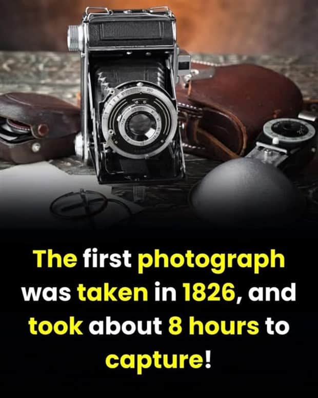 random facts 18 Cool and Interesting Facts #454 (22 photos)