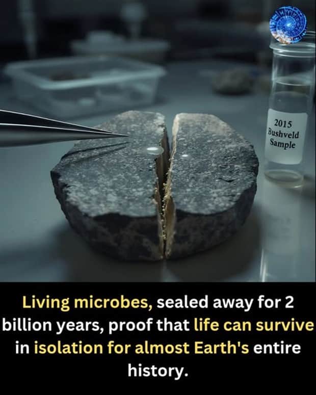 random facts 19 Cool and Interesting Facts #454 (22 photos)