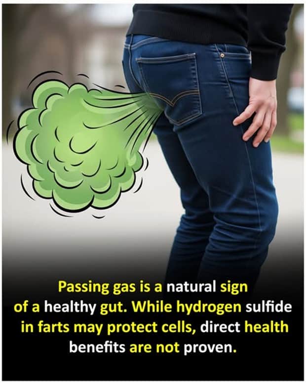 random facts 2 Cool and Interesting Facts #454 (22 photos)