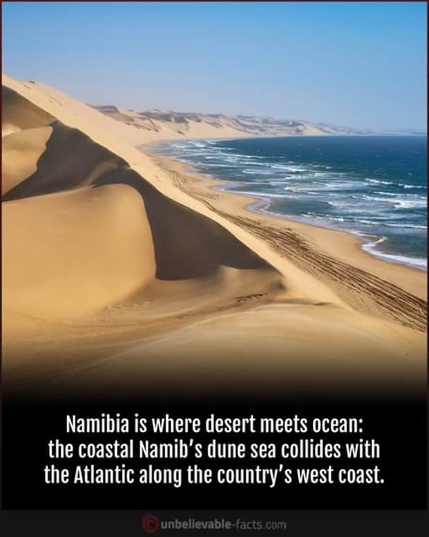 random facts 20 1 Cool and Interesting Facts #455 (25 photos)