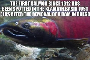 Cool and Interesting Facts #454 (22 photos)