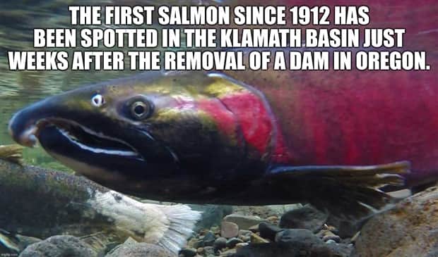 random facts 21 Cool and Interesting Facts #454 (22 photos)