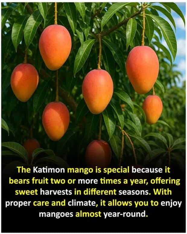 random facts 3 Cool and Interesting Facts #454 (22 photos)