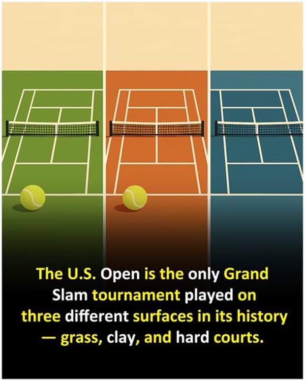 random facts 5 Cool and Interesting Facts #454 (22 photos)