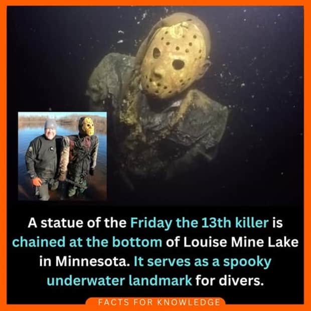 random facts 6 1 Cool and Interesting Facts #455 (25 photos)