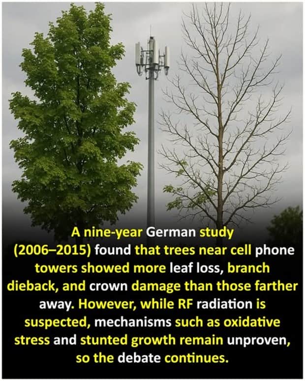 random facts 9 1 Cool and Interesting Facts #455 (25 photos)