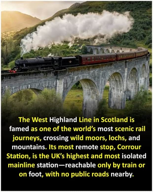 Cool and Interesting Facts #456 (20 photos)