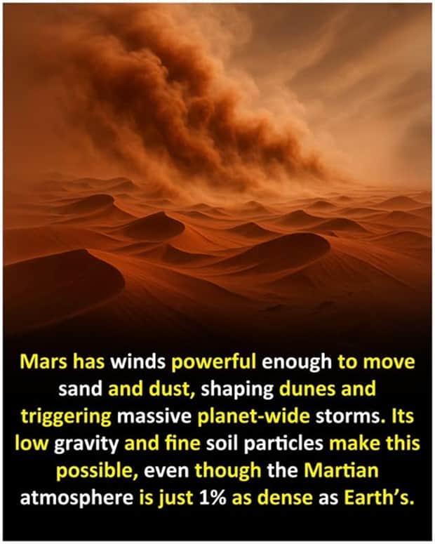 random facts 9 Cool and Interesting Facts #454 (22 photos)