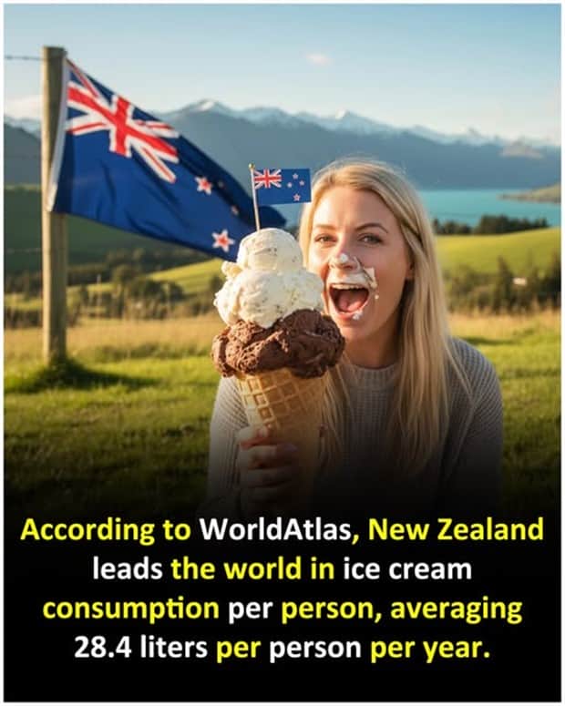 Cool and Interesting Facts #457 (17 photos)