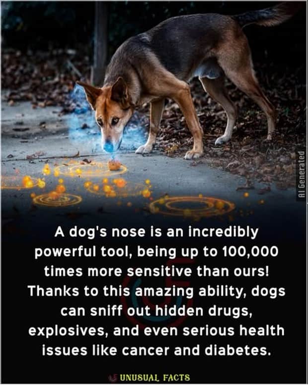 Cool and Interesting Facts #457 (17 photos)