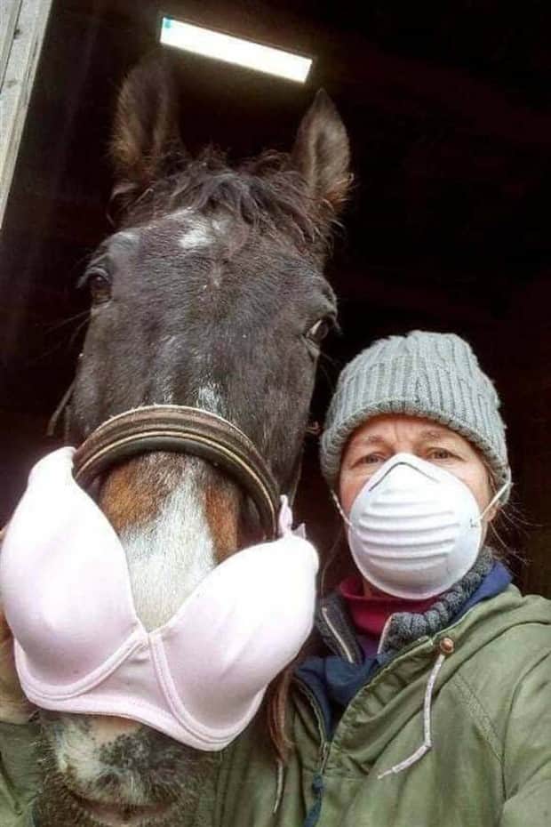 strange internet 10 Welcome to the Weird Side of the Internet #202 (20 photos)