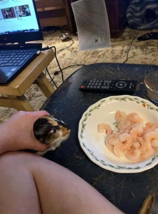 strange internet 14 Welcome to the Weird Side of the Internet #202 (20 photos)