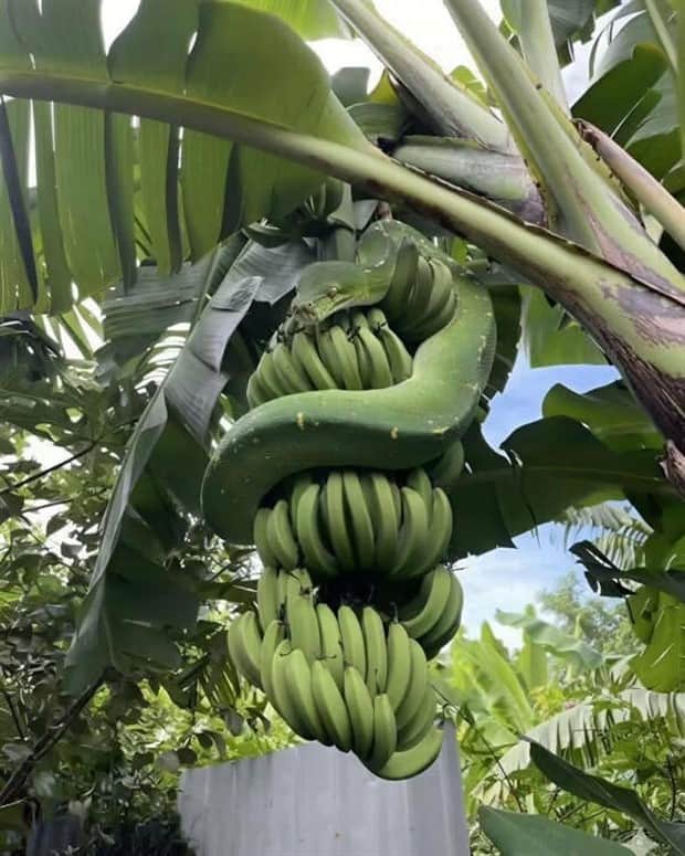 strange internet 18 Welcome to the Weird Side of the Internet #202 (20 photos)