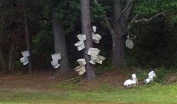 strange internet 8 Welcome to the Weird Side of the Internet #202 (20 photos)