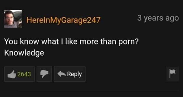 Comic Gold in the Pornhub Comment Section (31 photos)