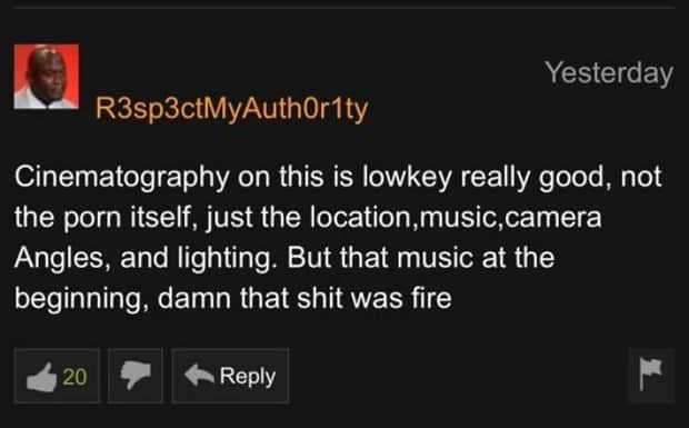 Comic Gold in the Pornhub Comment Section (31 photos)
