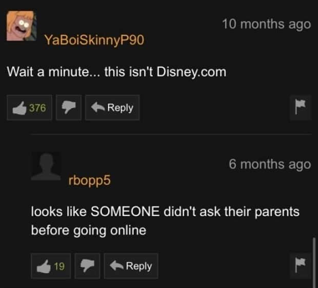 Comic Gold in the Pornhub Comment Section (31 photos)