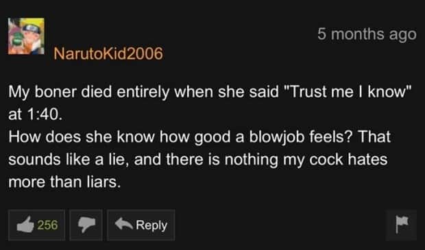 Comic Gold in the Pornhub Comment Section (31 photos)