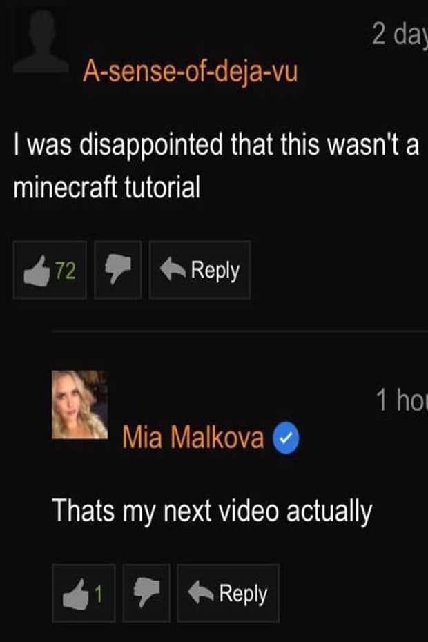 Comic Gold in the Pornhub Comment Section (31 photos)