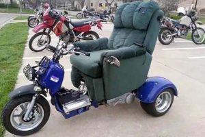 Cool Picture Parade DCCCXCI