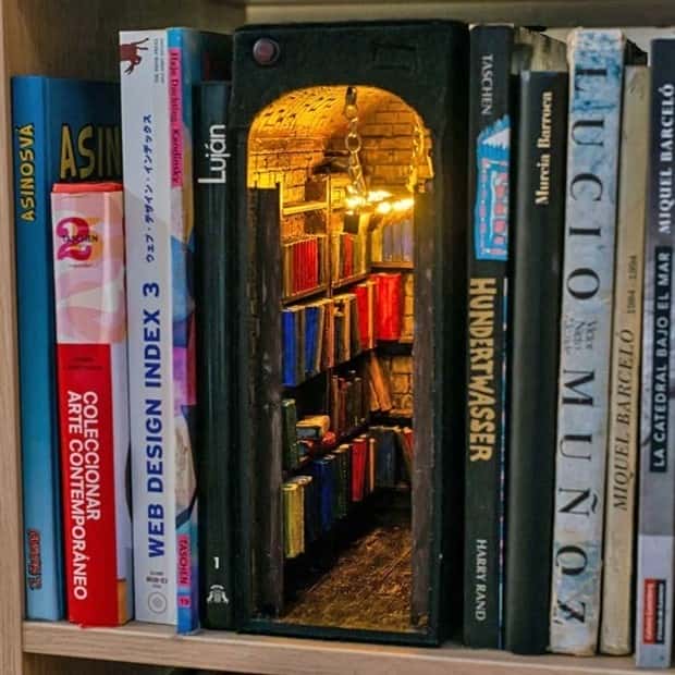 Cool Book Dividers That Elevate Home Libraries (22 photos)