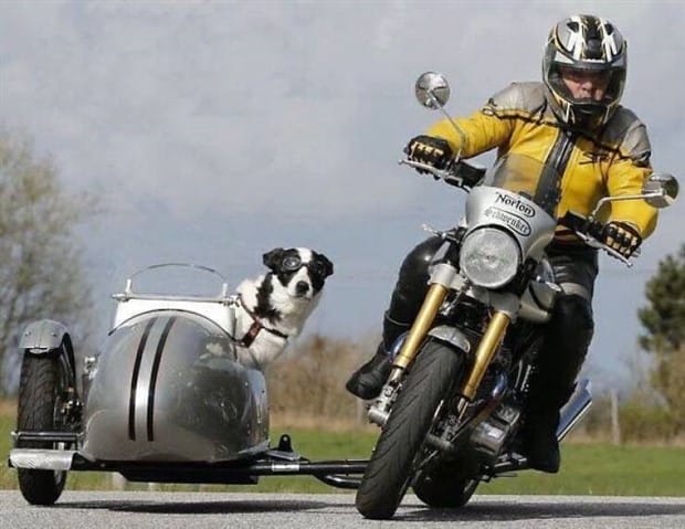 Awesome Pictures You Shouldn’t Miss #182 (23 photos)