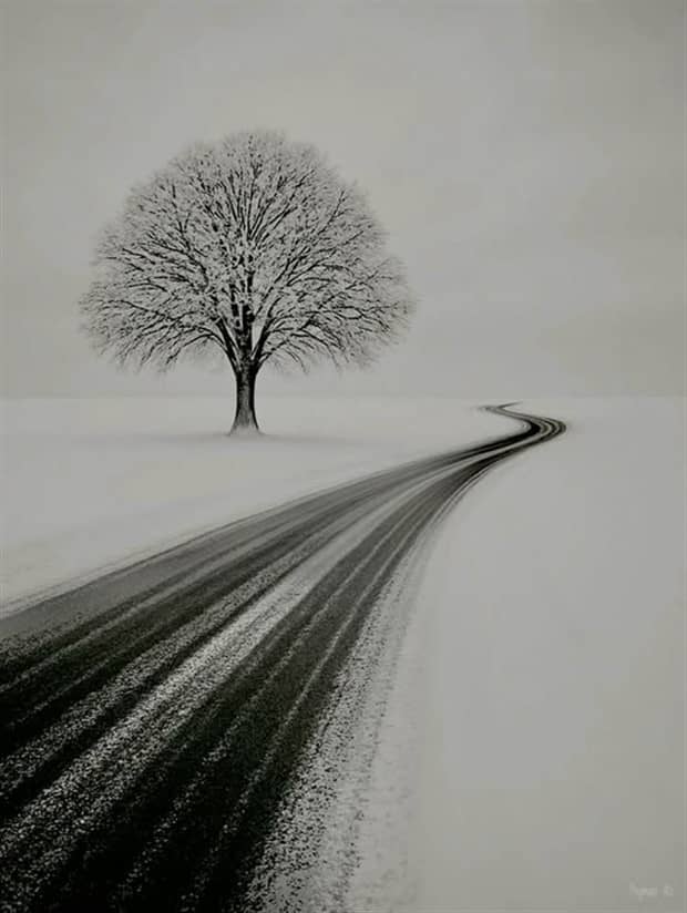 awesome pics 1 Awesome Pictures You Shouldn’t Miss #183 (21 photos)