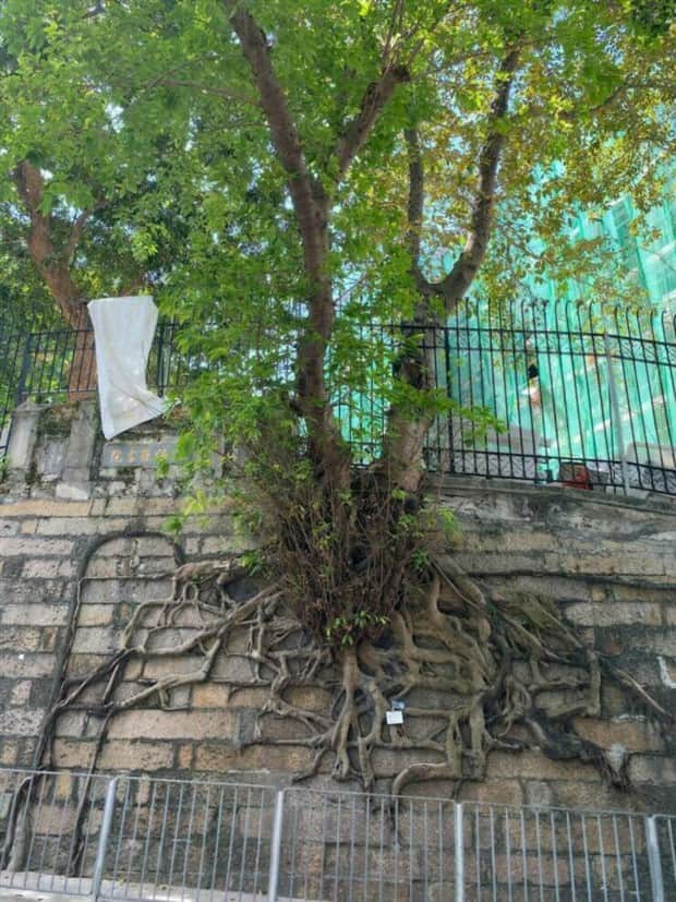 Awesome Pictures You Shouldn’t Miss #181 (21 photos)