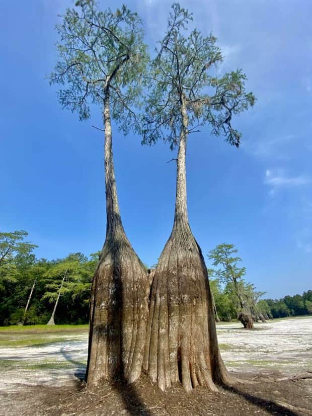 Awesome Pictures You Shouldn’t Miss #181 (21 photos)