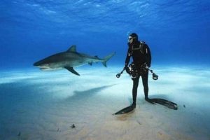 Awesome Pictures You Shouldn’t Miss #181 (21 photos)