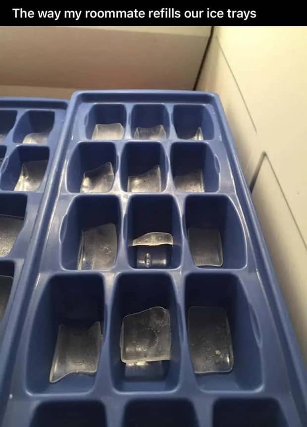 People Exposing Their Worst Roommates (21 photos)