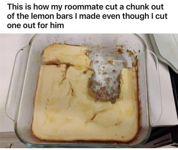 People Exposing Their Worst Roommates (21 photos)