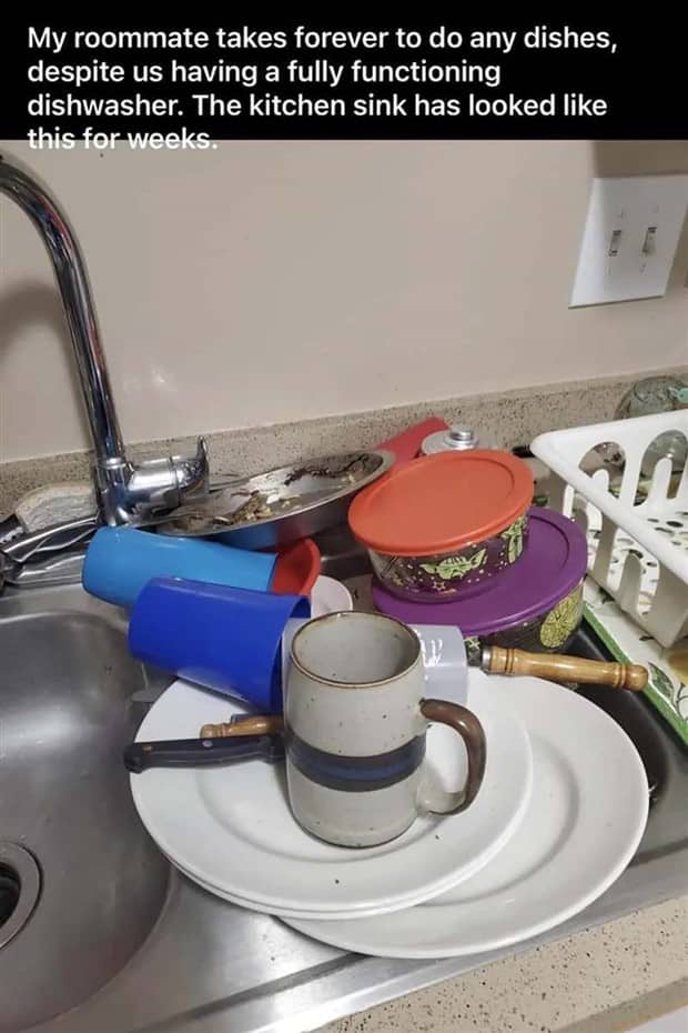 People Exposing Their Worst Roommates (21 photos)