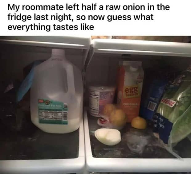 People Exposing Their Worst Roommates (21 photos)