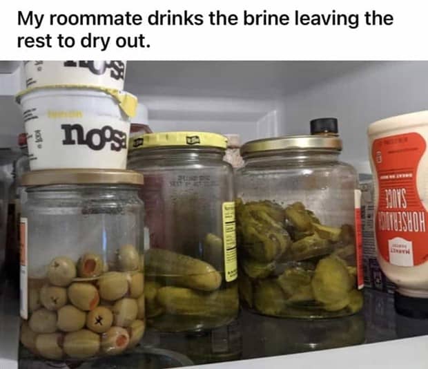 People Exposing Their Worst Roommates (21 photos)