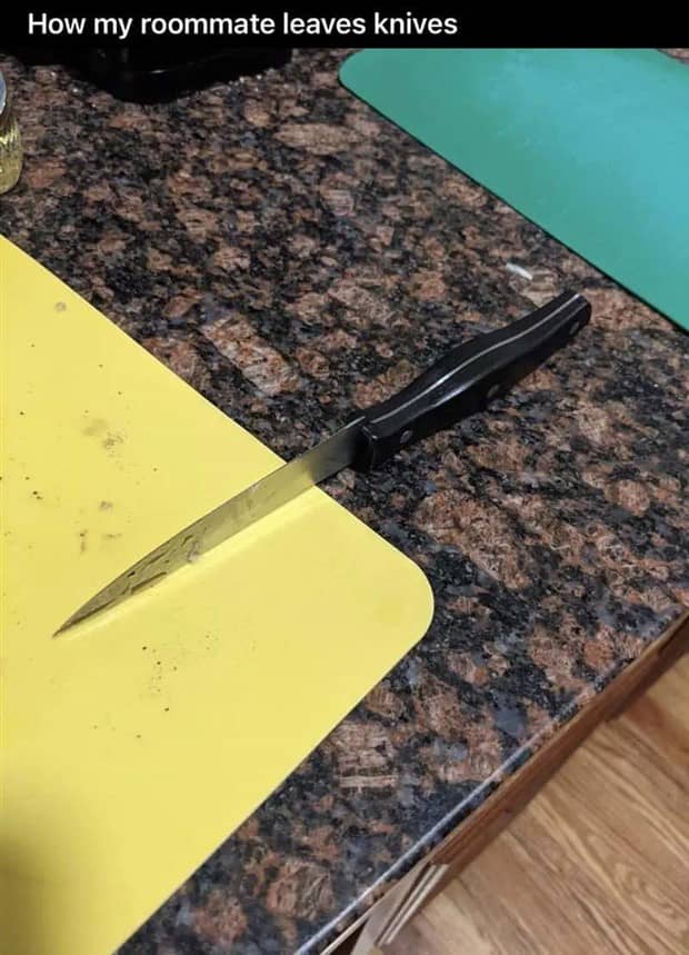 People Exposing Their Worst Roommates (21 photos)