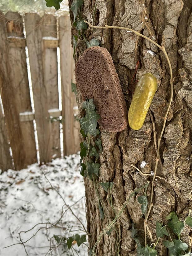 Bread Stapled to Trees for No Specific Reason (23 photos)