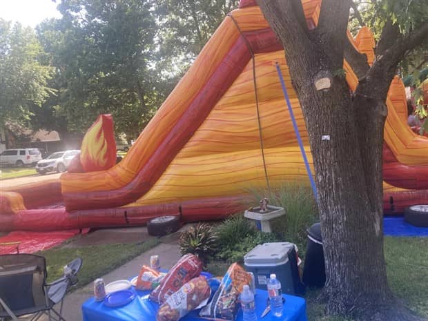 Bread Stapled to Trees for No Specific Reason (23 photos)
