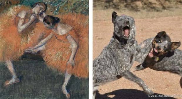30 Dogs That Resemble Something Else (30 photos)